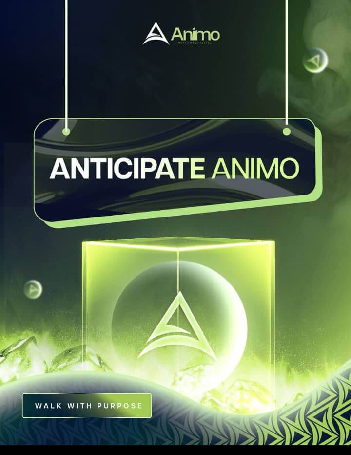 Digital Products Showcase